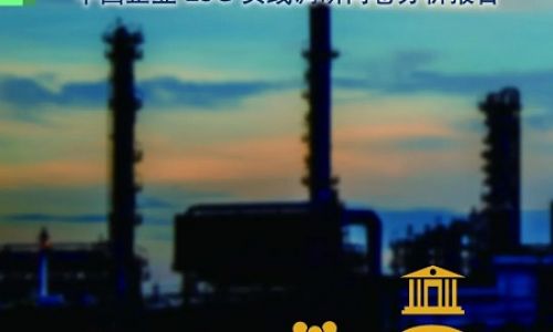 IMA发布《中国制造业的可持续生存之道——中国企业ESG实践调研问卷分析报告》